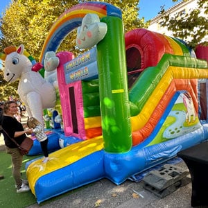 Location Jeux gonflable Licorne